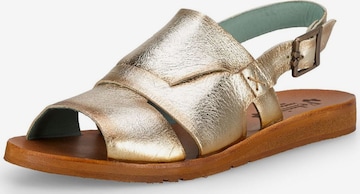 Felmini Wide Fit Sandals in Gold: front