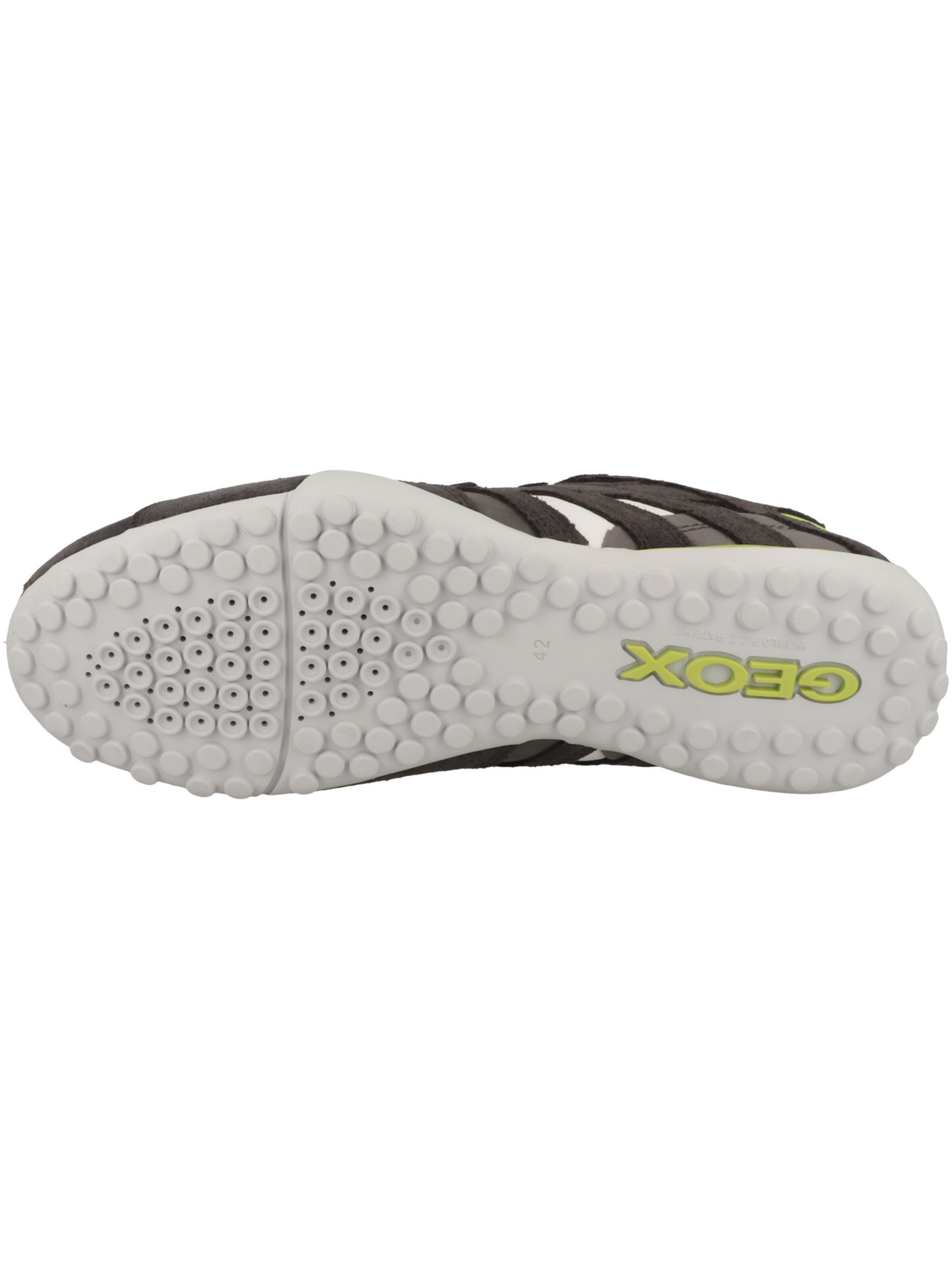 Sneaker bassa di GEOX in grigio