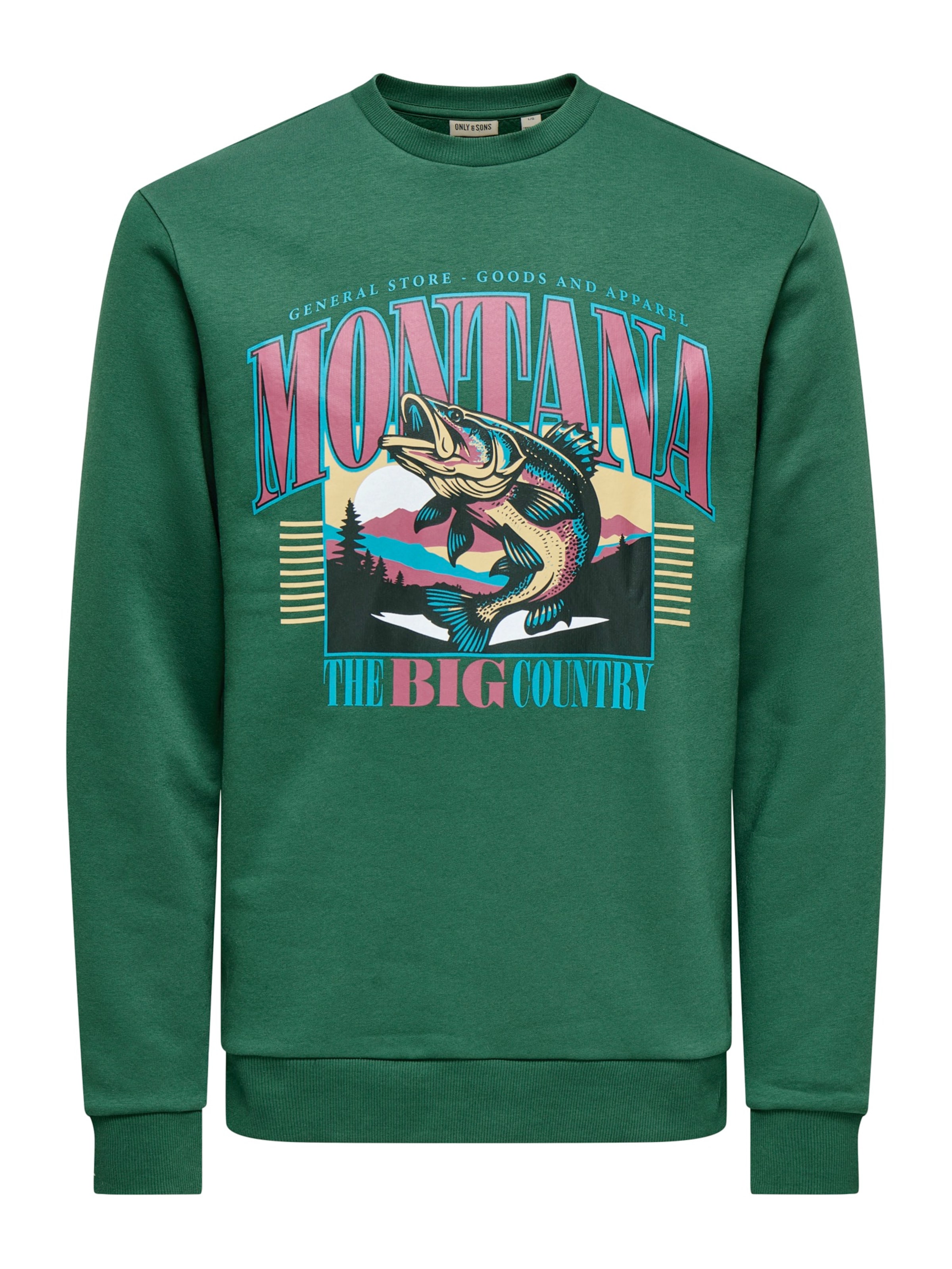 Only & Sons Collegepaita 'ONSCERES MONTO' värissä taivaansininen / vihreä / lila / musta, Tuotenäkymä