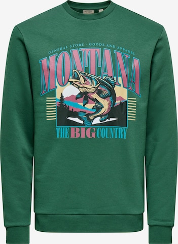 Only & Sons - Sudadera 'ONSCERES MONTO' en verde: frente