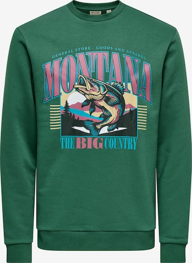 Only & Sons Collegepaita 'ONSCERES MONTO' värissä taivaansininen / vihreä / lila / musta, Tuotenäkymä