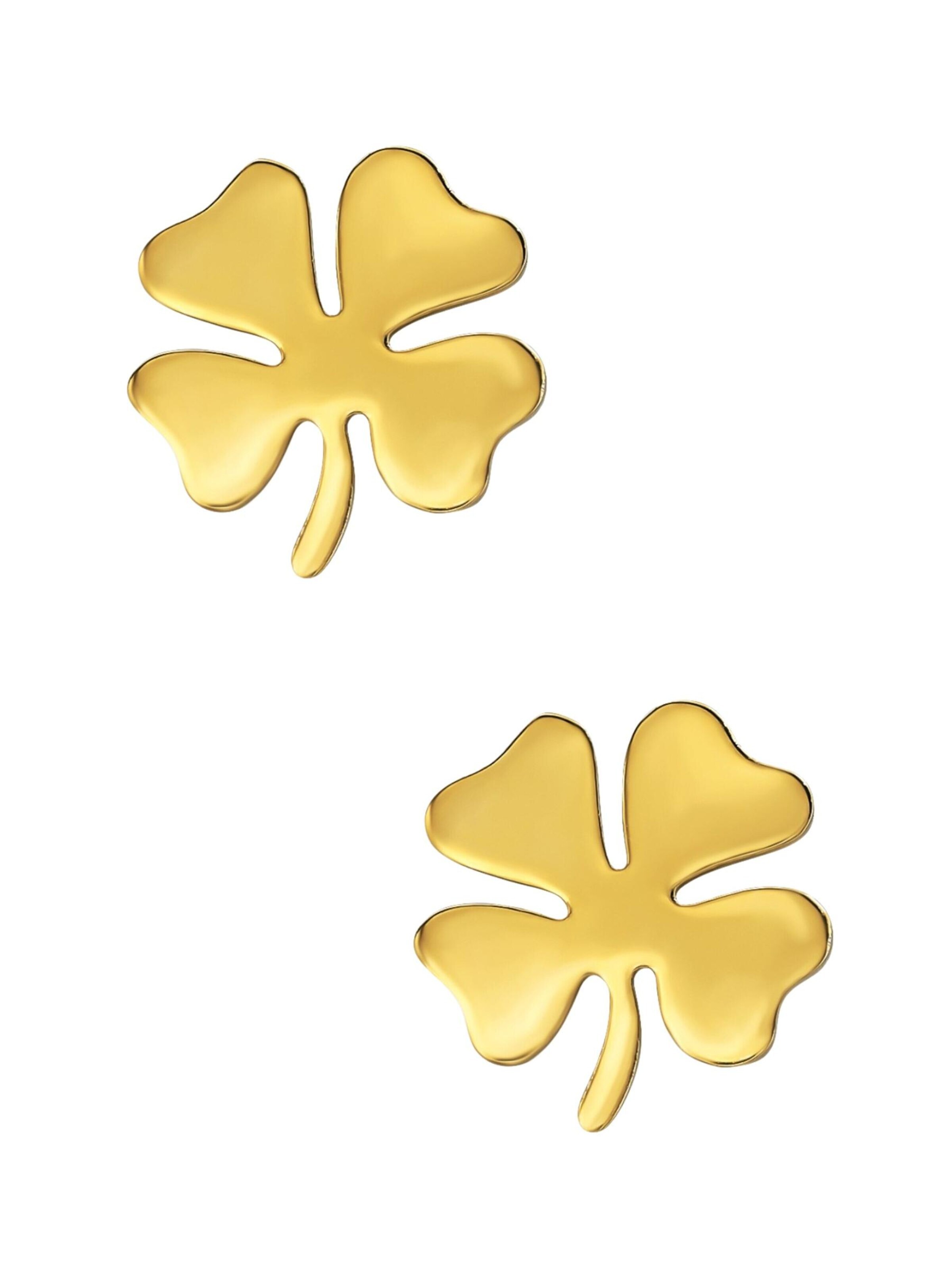 Boucles d'oreilles Maxte en or