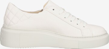 Baskets basses Paul Green en blanc