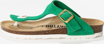 Bayton Pistokkaat 'MERCURE' värissä vihreä: etupuoli