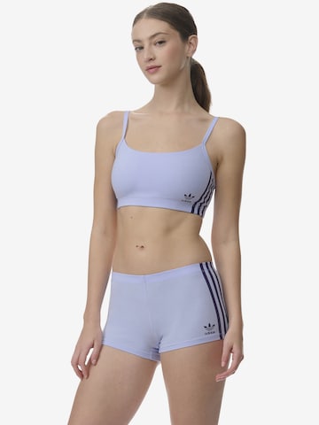 Culotte ' Biker Short ' ADIDAS ORIGINALS en bleu