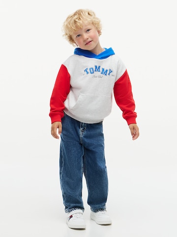 TOMMY HILFIGER Sweatshirt in Grijs