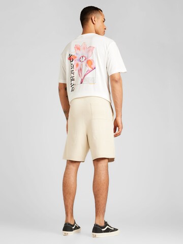 SELECTED HOMME Regular Shorts 'Teller' in Beige