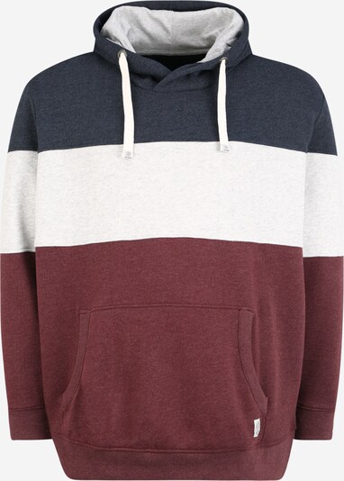TOM TAILOR Men Plus Sweater majica u mornarsko plava / siva / crvena, Pregled proizvoda