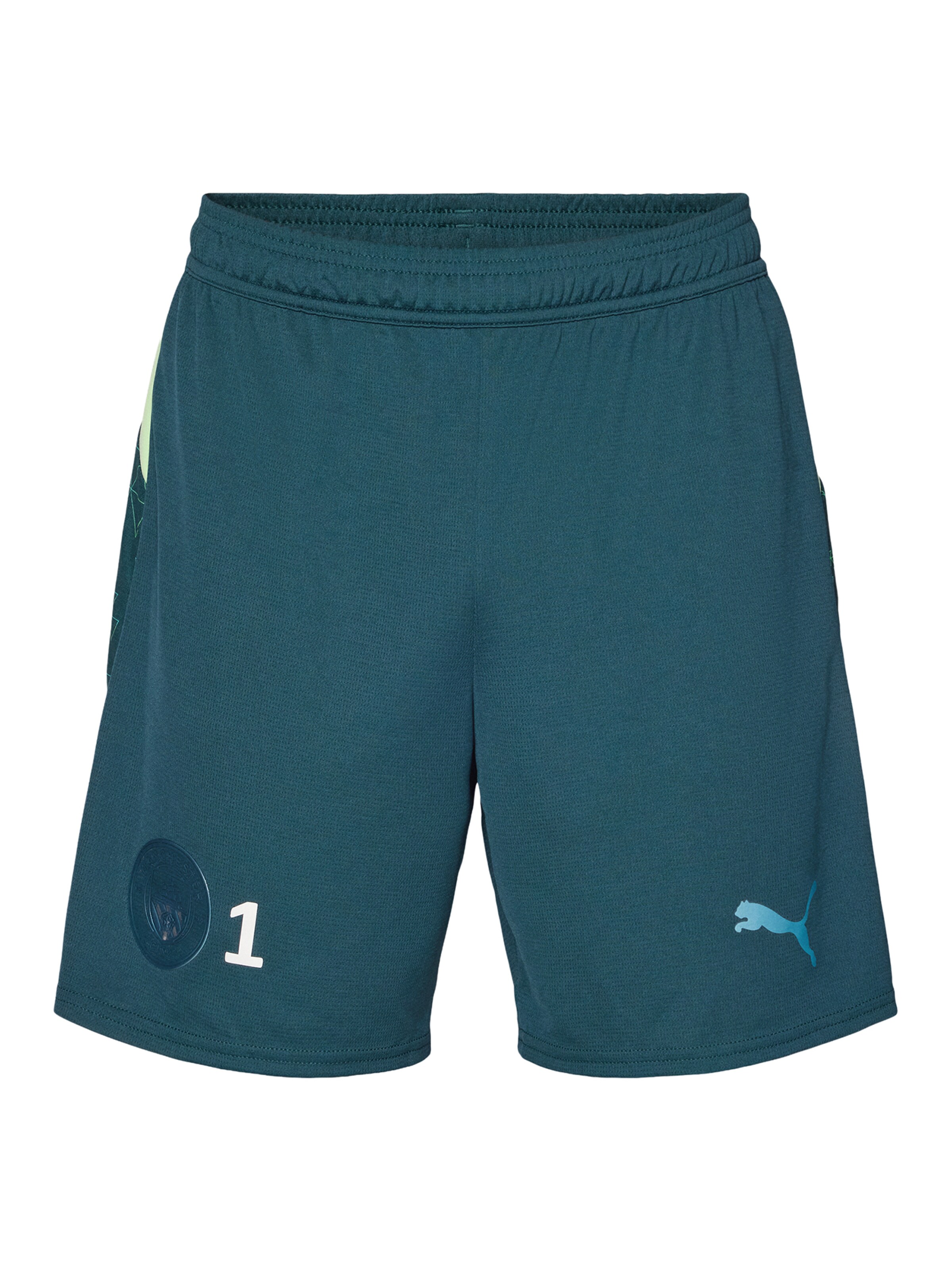 PUMA tavaline Spordipüksid 'Manchester City 25/26', värv roheline: eest vaates