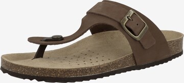 GEOX Teenslipper 'Brionia' in Bruin: voorkant