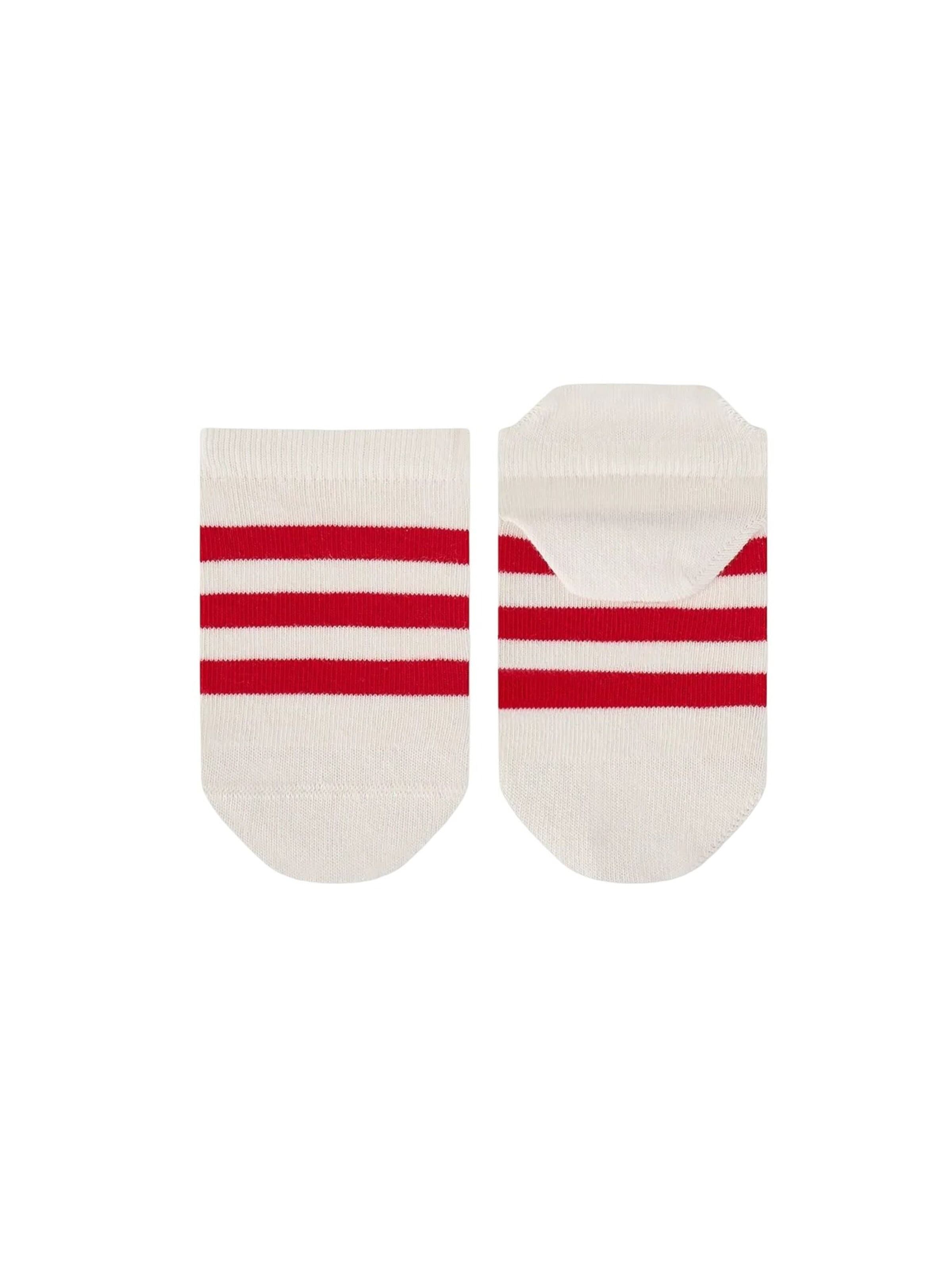 Penti Sokken 'PENTI Pinchy Crab No-Show-Socken mit Krabbenmuster, 3 Paar' in Gemengde kleuren