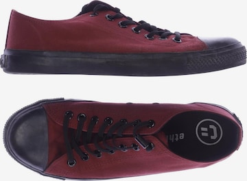 Ethletic Sneakers & Trainers in 42 in Red: front