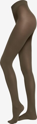 CALZEDONIA Fine Tights in Green: front
