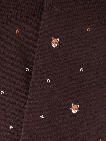 CALZEDONIA Socks in Brown