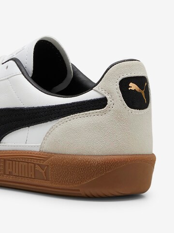 PUMA Sneakers laag 'Palermo' in Wit