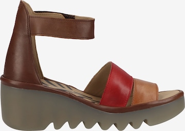 FLY LONDON Strap Sandals in Brown