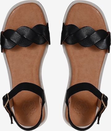 Apple of Eden Sandalen met riem 'AVA' in Zwart