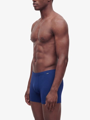 Boxers Blackspade en bleu