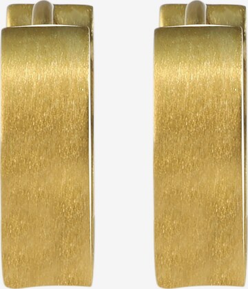 Akzent Earrings 'Erik, langlebig' in Gold: front