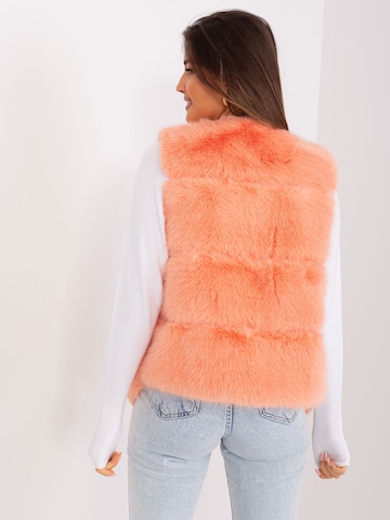 Madnezz House Weste '2349.00P' in Orange
