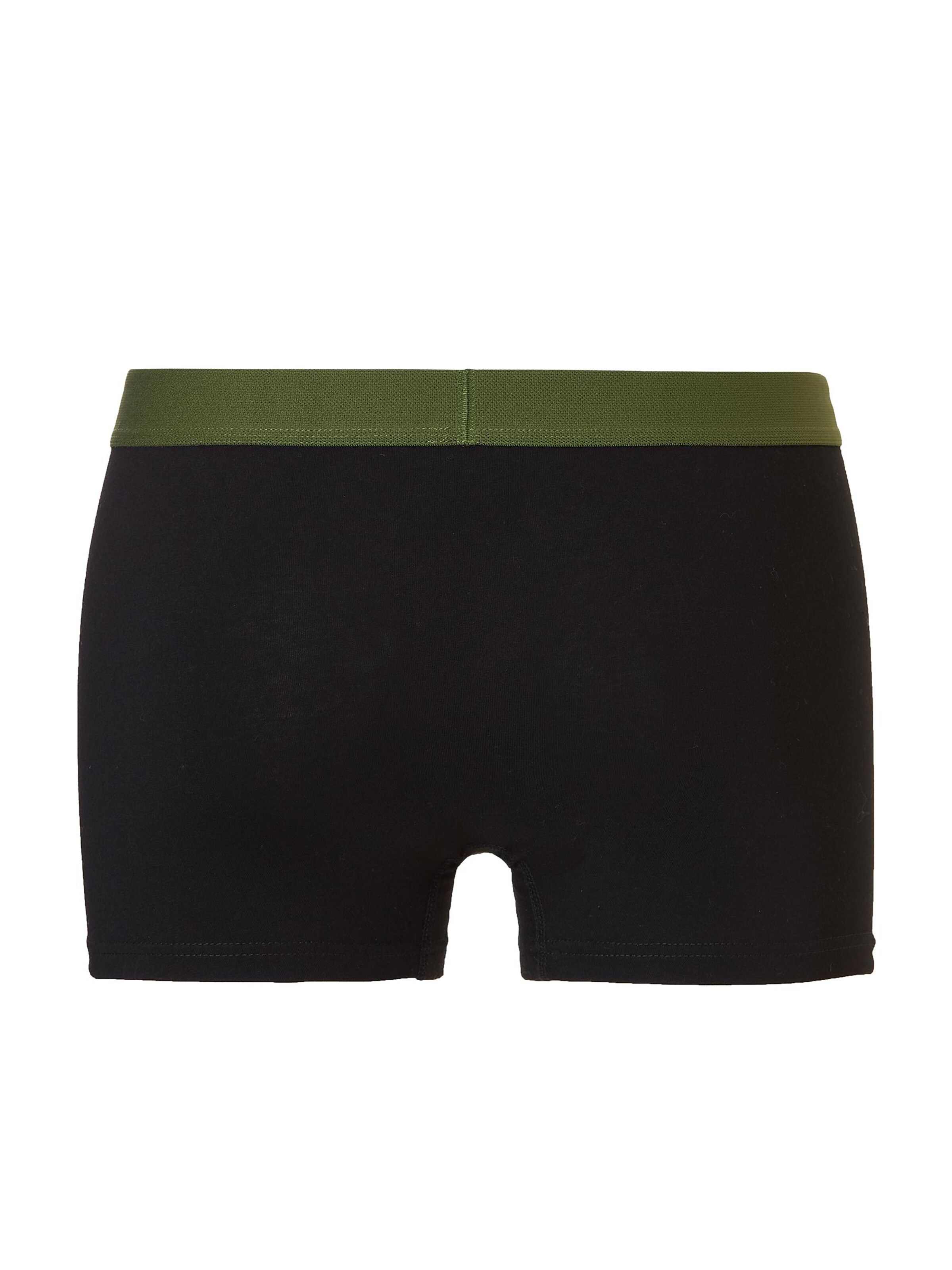 CATERPILLAR Boxershorts 'CAT  2-Pack' in Groen