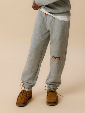 NAME IT Tapered Trousers in Grey: front