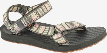 TEVA Sandals in Brown: front