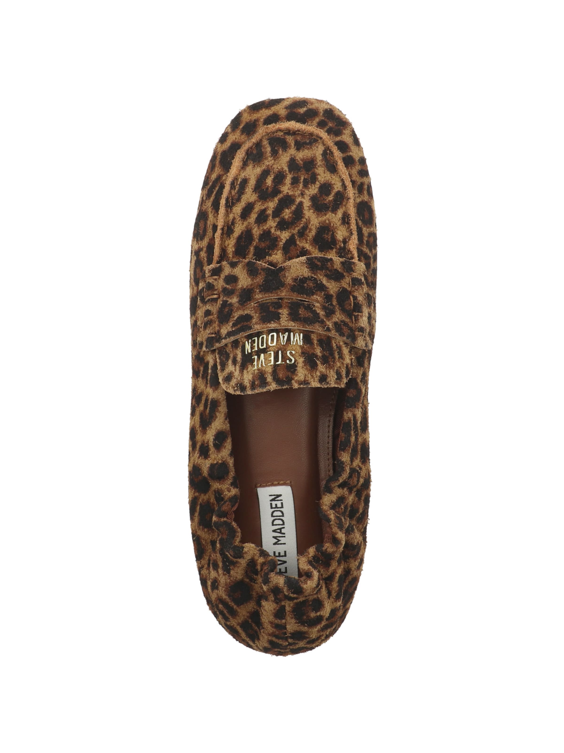 STEVE MADDEN - Zapatillas ' Newbury' en marrón