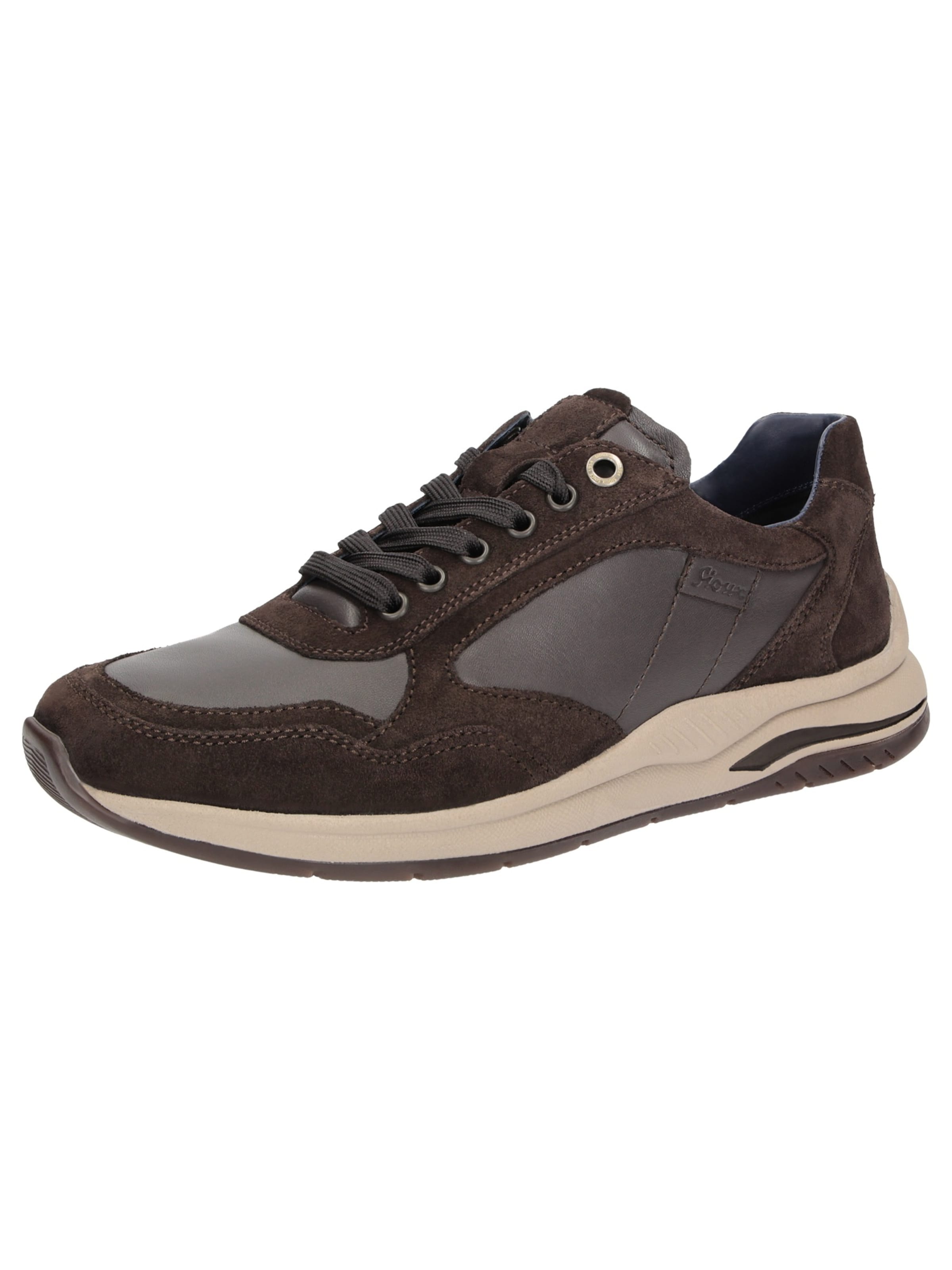 SIOUX Sneaker ' Turibio-713-J ' in Braun: Vorderseite