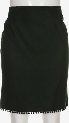 Mothwurf Skirt in XL in Green: front
