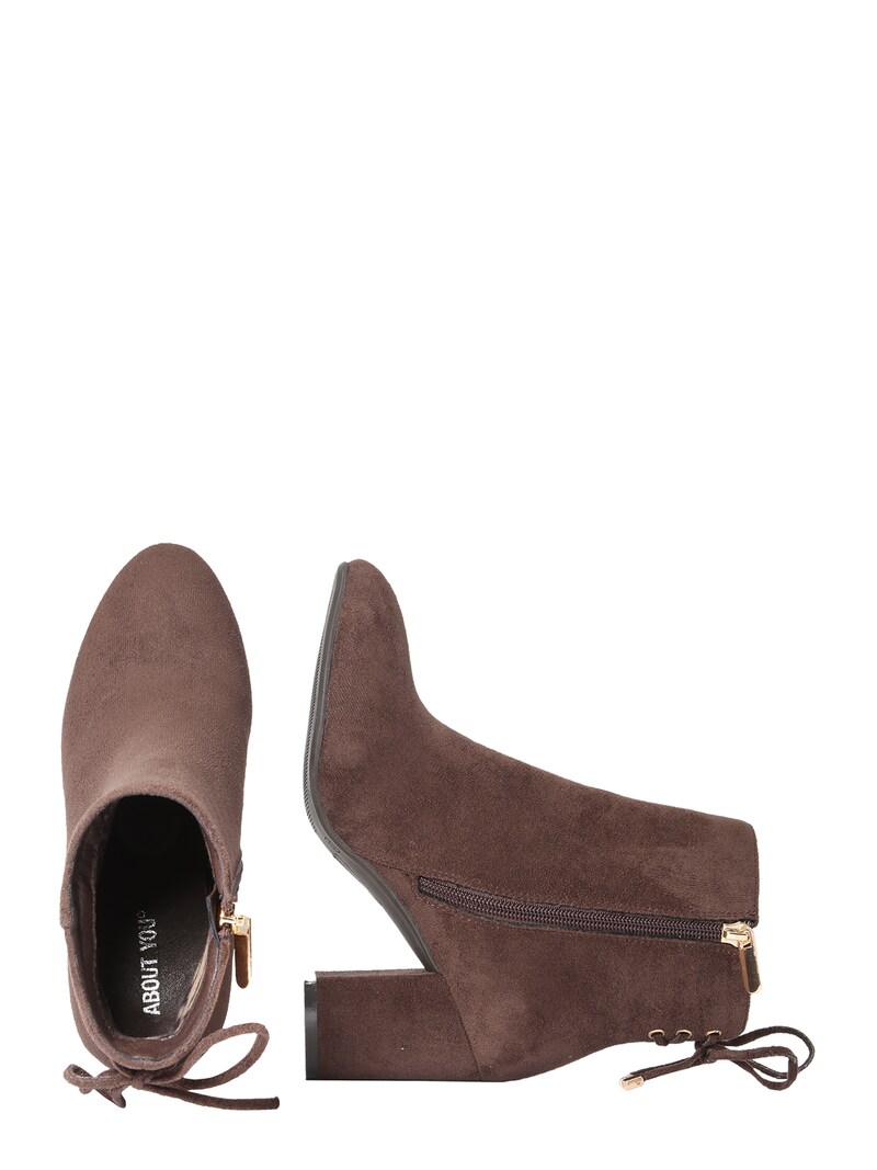 Ankle boots ABOUT YOU Classic ankle boots Chocolate