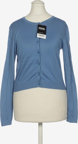 HALLHUBER Sweater & Cardigan in XS in Blue: front
