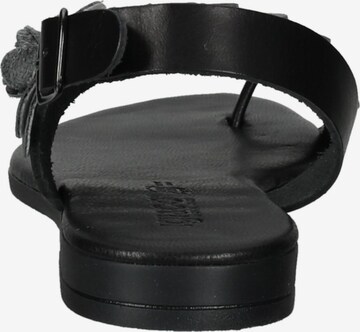 IGI&CO Sandals in Black