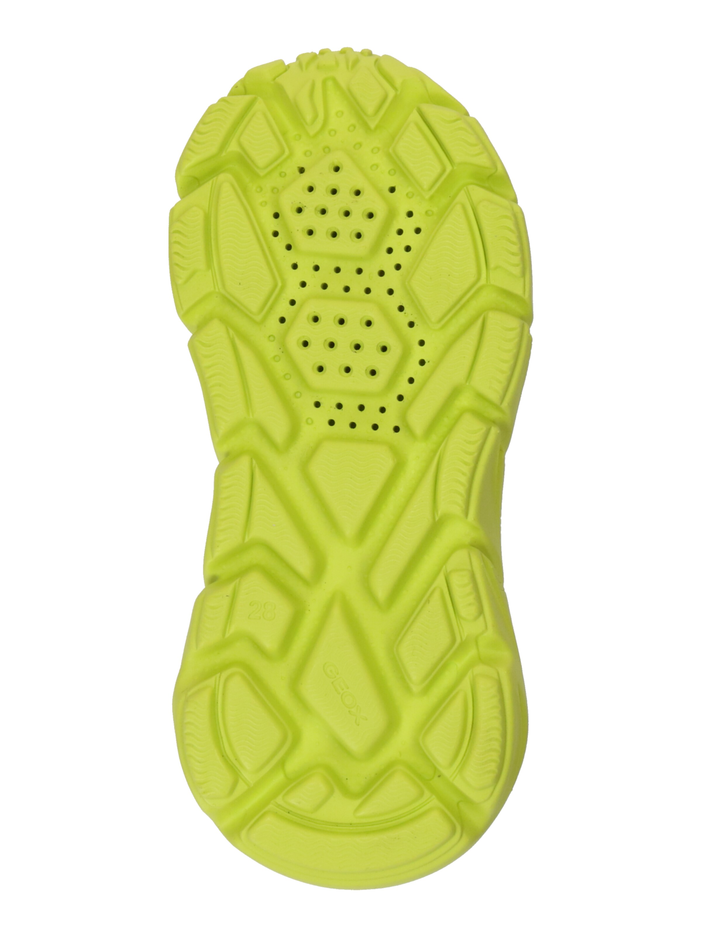 Sneaker 'Flexyper Fast' de la GEOX pe albastru