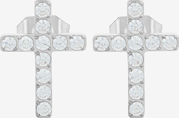 Akzent Earrings 'Lucaria, langlebig' in Silver: front