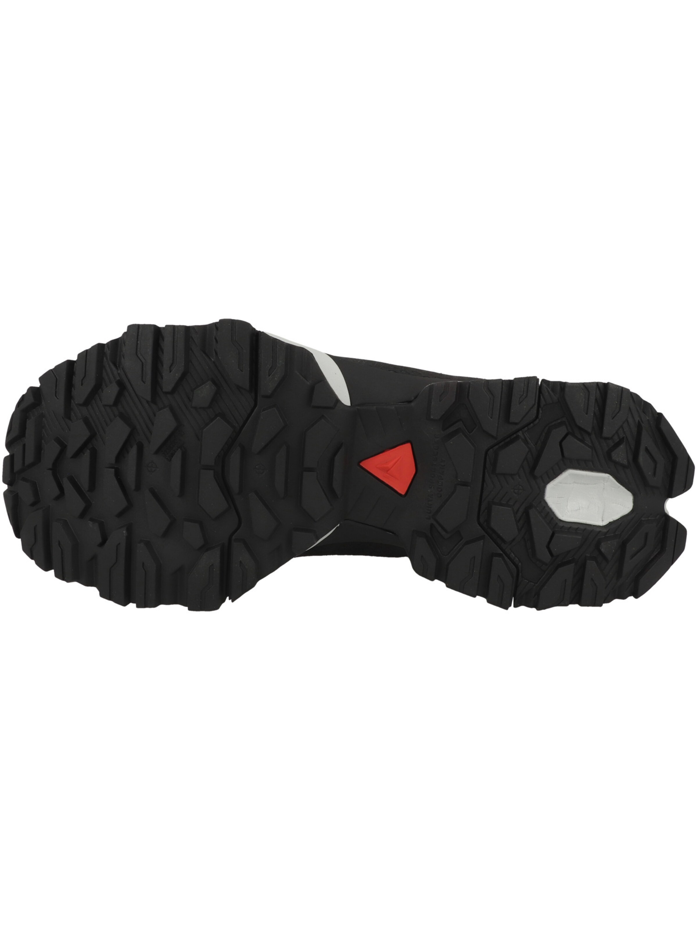 Sneaker alta di Dachstein in nero