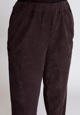 Zhrill Regular Pants in Brown