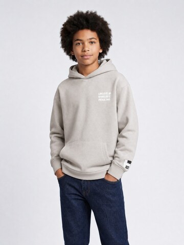 Petrol Industries Sweatshirt in Grijs: voorkant