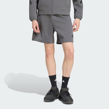 ADIDAS SPORTSWEAR Ohlapna forma Športne hlače 'Z.N.E.' | siva barva: sprednja stran