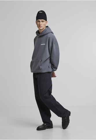 Prohibited Sweatshirt i grå