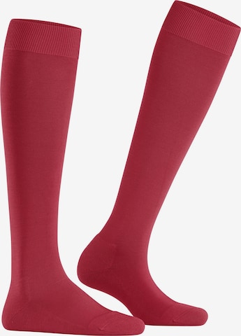 FALKE Knee High Socks 'ClimaWool' in Red: front