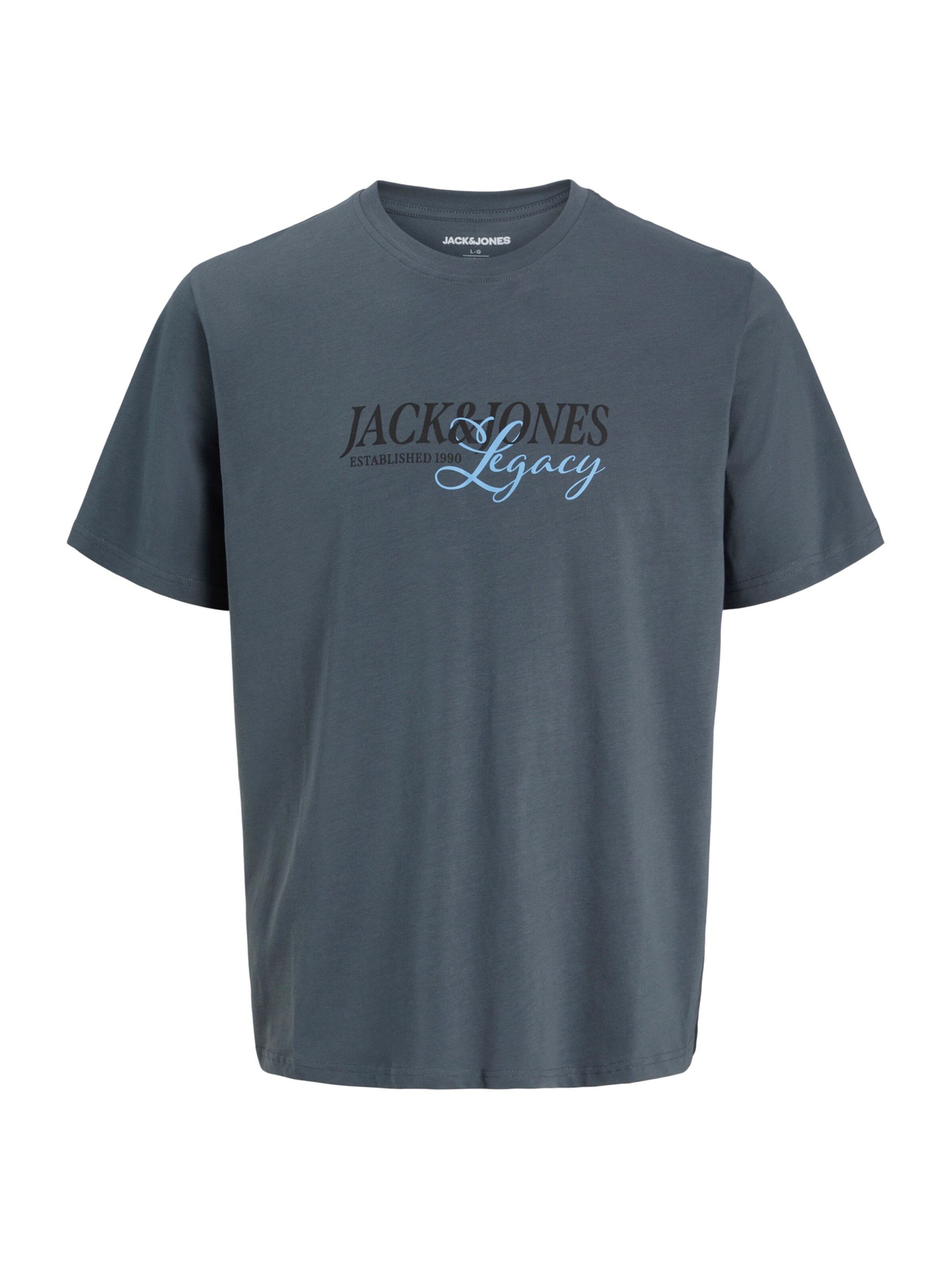 Jack & Jones Plus - Camiseta 'JJJADE' en gris: frente