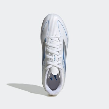ADIDAS PERFORMANCE Sports shoe 'F50 League' in White