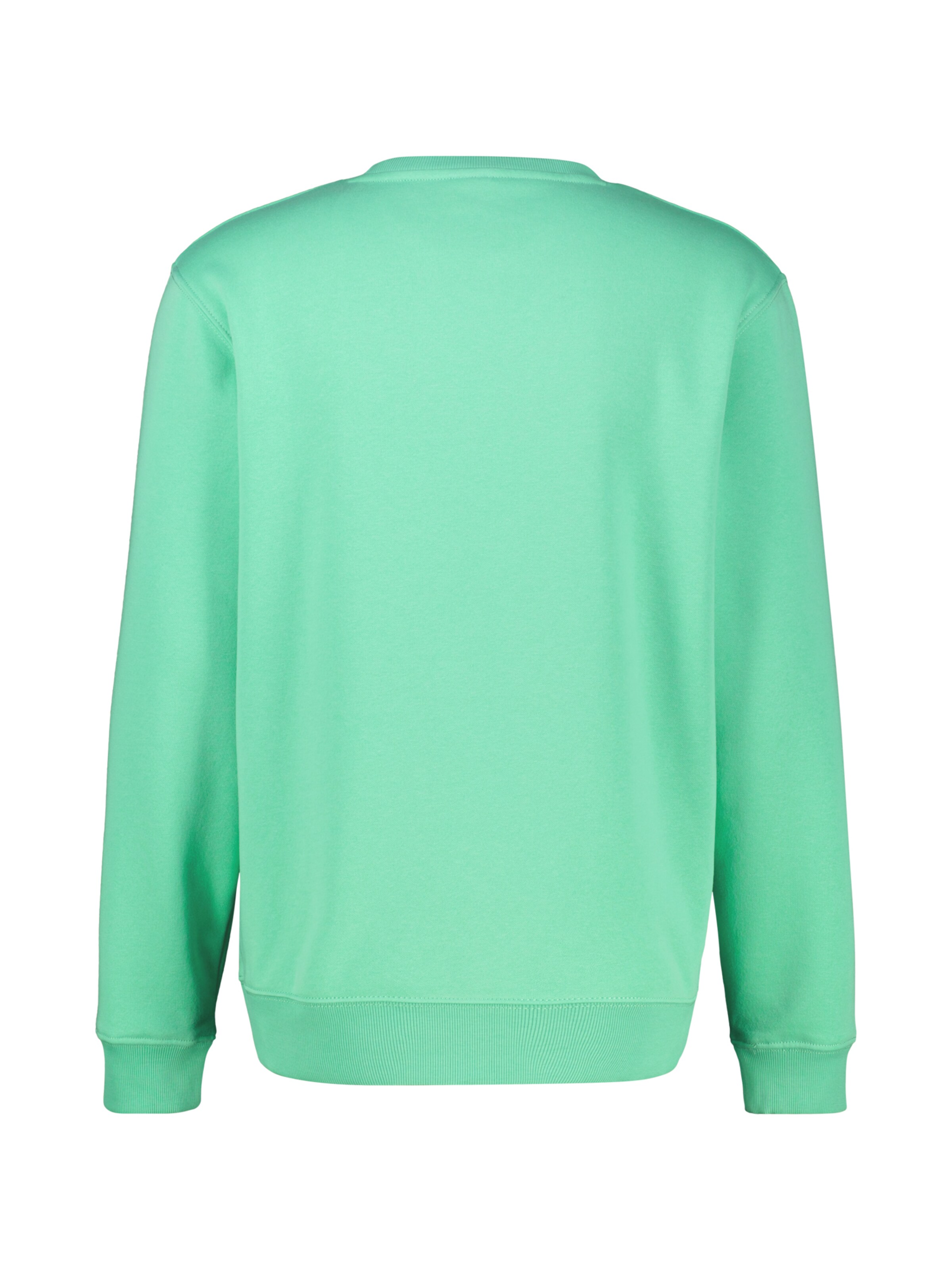 LERROS Sweatshirt in Groen