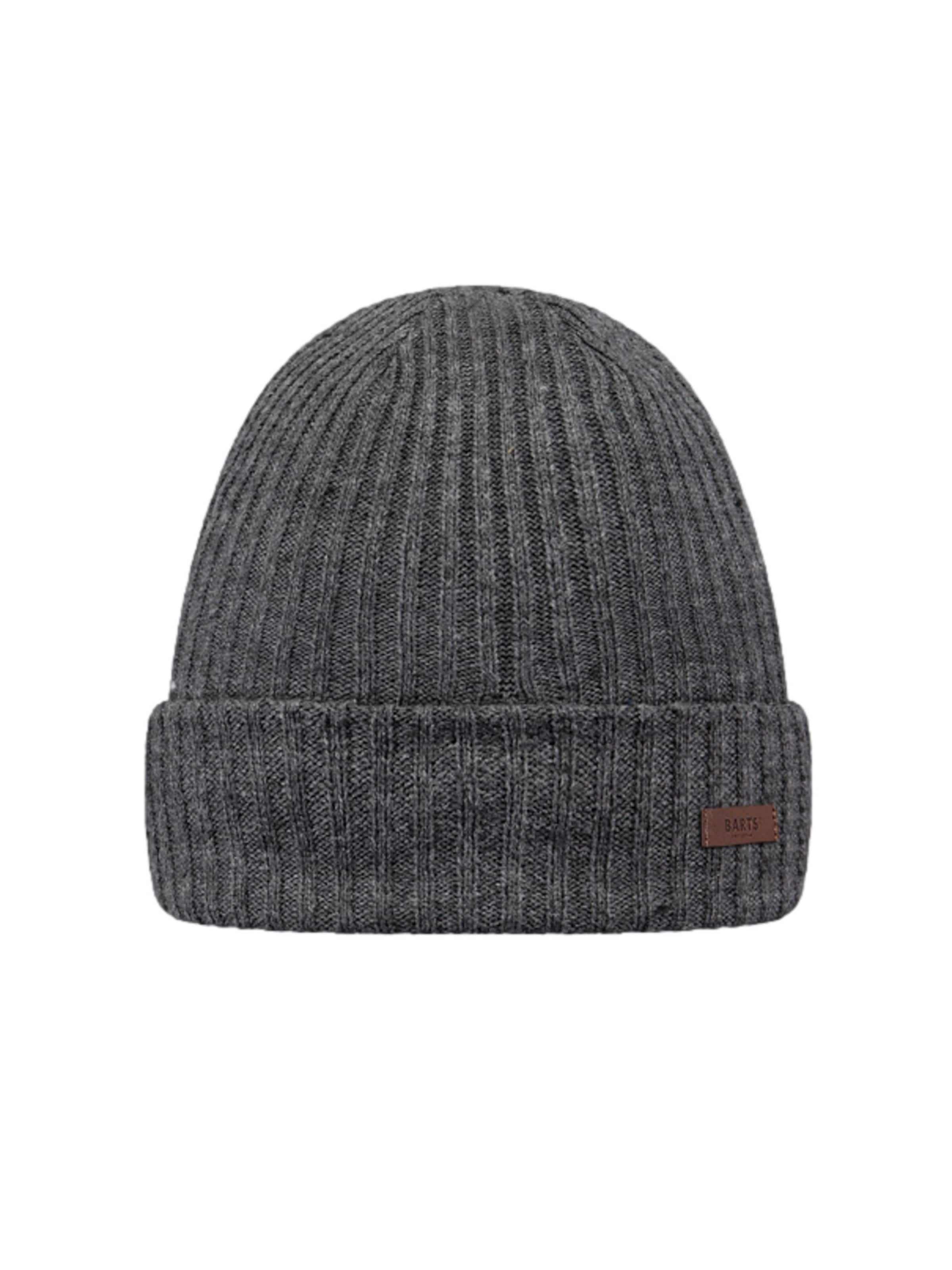 Barts Beanie 'Wilbert Turnup' in Grey: front