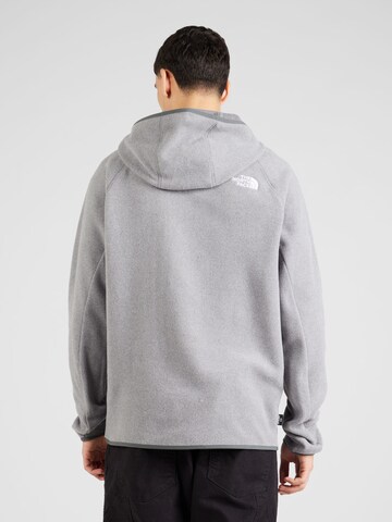 THE NORTH FACE Sportspullover '100 Glacier Fleece Hoodie' i grå