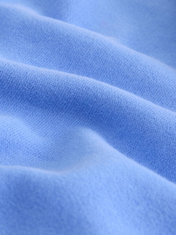 Next Sweatjacke in Blau
