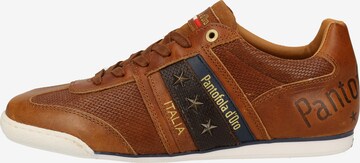 PANTOFOLA D'ORO Sneaker in Braun: predná strana