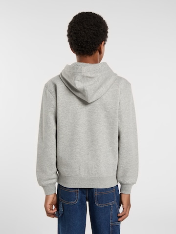 DICKIES Sweatjacka 'Oakport' i grå