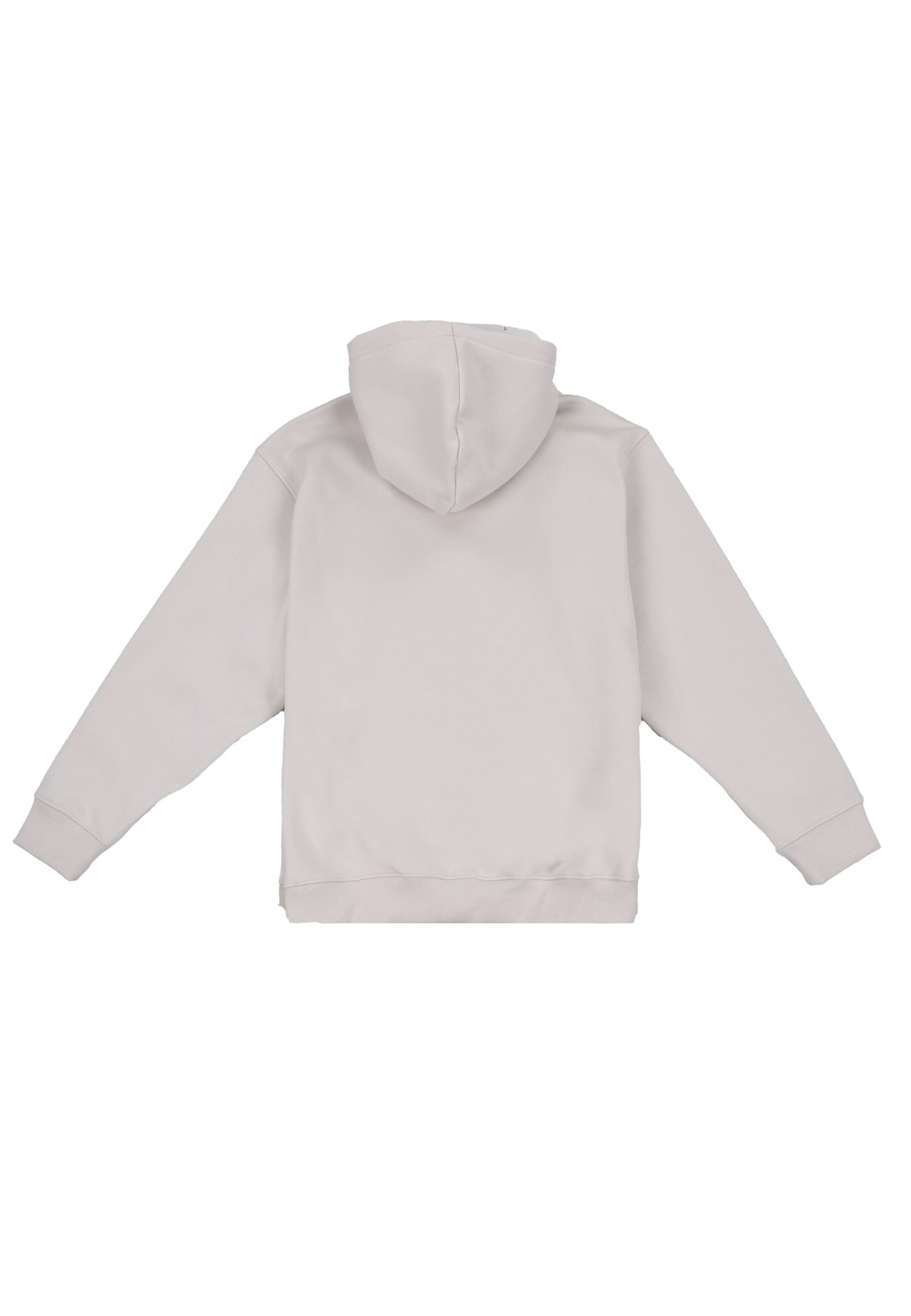 Veste de survêtement Dropsize en gris